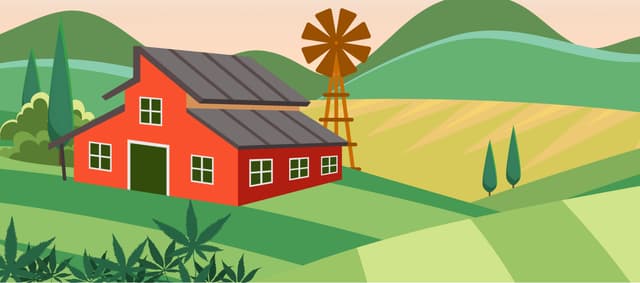 The Cannabis Brand-to-Consumer Connection...