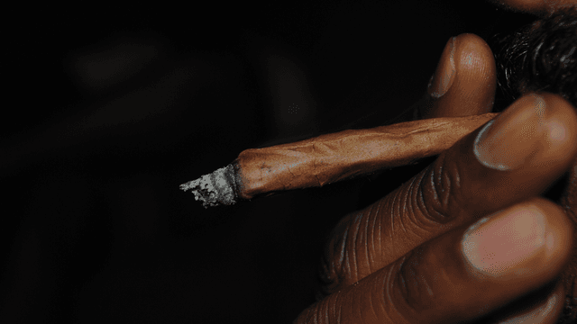 Blunt Wraps & Rolling Papers May Contain Heavy Metals & Pesticides