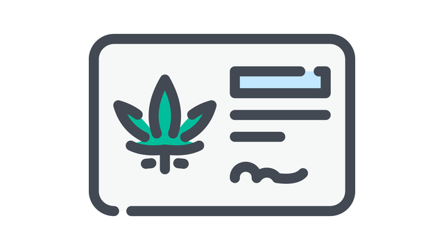 How to Get a Medical Marijuana Card from a Cannabis Doctor